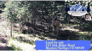 Lot for sale  Manitou Springs, Colorado 80829