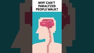 Why Can't Paralyzed People Walk?