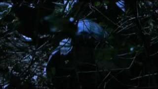 Spare Change: Short film trailer with atmospheric music from composer Simon Wilkinson