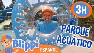 Blippi explora un parque acuático| Blippi Español | Videos educativos para niños | Aprende y Juega