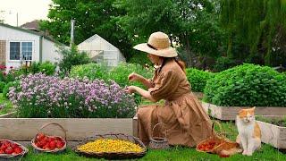 Strawberry Picking & Canning in the Heartland: Cozy Jelly Making, Pop Tarts, & Nature ASMR