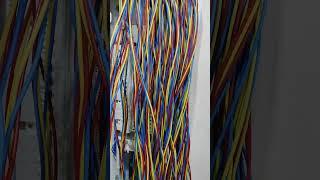 electrical DB termination #shortvideo #electrical #youtubeshorts #y#youtubeshort