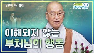 이해되지 않는 부처님의 행동 #갈등 #분쟁 #전쟁