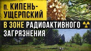  Кипень-Ущерпский в зоне радиоактивного загрязнения.