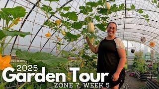 2025 Garden Tour #5: TONS of Fruit Set, Flowers & More Squash Surprises