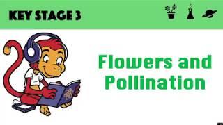 Flowers and Pollination