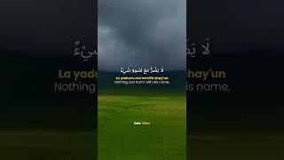 Dua for protection #i̇slamicvideo #dua #muslim #islamicreminder