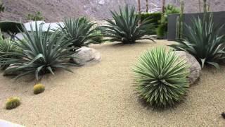 Desert landscaping