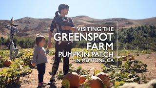 Greenspot Farm Pumpkin Patch With Kids Montage