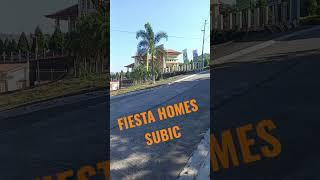 fiesta homes subic