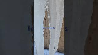 ICE. #ice