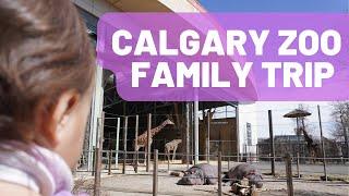 2022 Tour of the Calgary Zoo (+ secret $ savings!)