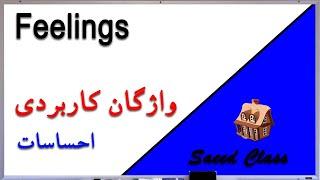 کلاس سعید آموزش زبان انگلیسی - لغت های کاربردی درس احساسات Saeed Class