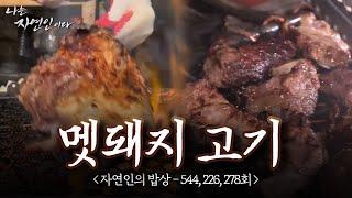 [자연인의 밥상] 그냥 돼지와는 다르다..! 오직 자연에서 즐길 수 있는 맛, '멧돼지 고기'