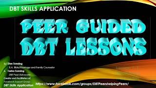 DBT Skills Application 1-1 Mindfulness WISEMIND