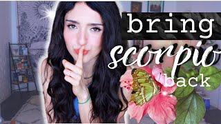 ️ Get a Scorpio to Come Back: 5 steps to bring scorpio back after a breakup