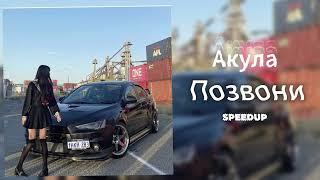 Акула - Позвони (SPEEDUP)