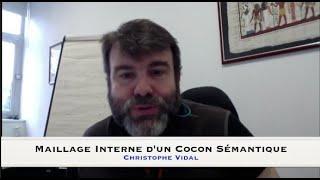 Cocon sémantique : Optimisation du maillage interne - Structure des liens