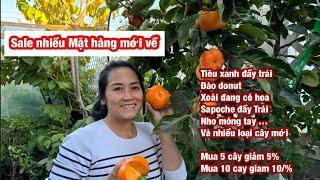 Hàng mới hot hot hot , mua nhiều giảm nhiều