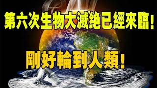 每6500萬年，地球就會經歷一次生物大滅絕？第六次已經來臨，剛好輪到人類！#生物大滅絕