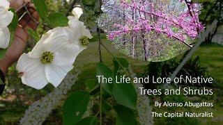 The Life and Lore of Native Trees and Shrubs with Alonso Abugattas, The Capital Naturalist