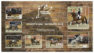 HENGSTSCHAU des NRW Landgestütes 2019 in Wickrath ; Zusammenfassung