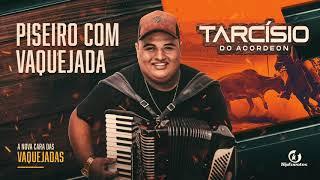 PISEIRO COM VAQUEJADA - TARCÍSIO DO ACORDEON (A Nova Cara das Vaquejadas)