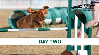 The Kennel Club International Agility Festival 2024 | Day 2 Main Ring