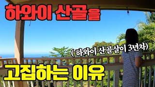 도시인이 상상할수 없는 하와이 산골살이 | 검은콩국수에 파파야치 | 쓰레기 대국 미국이 분리수거를 하지 않는 열받는 이유