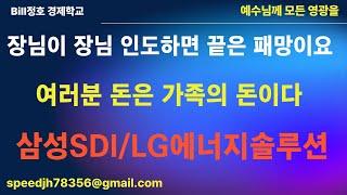 장님이 장님 인도하면 그끝은 패망이요. 삼성SDI / LG에너지솔루션