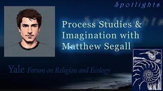 Spotlights, 3.14, Process Studies and Imagination, with Matthew Segall