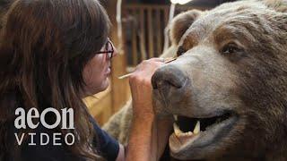 Inside the World Taxidermy Championships | Taxidermists