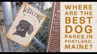 Where are the BEST Dog Parks in Portland, Maine