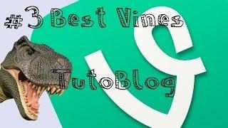 #3 Best Vines - TutoBlog