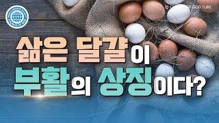 부활절과 이스터 | 하나님의교회 세계복음선교협회