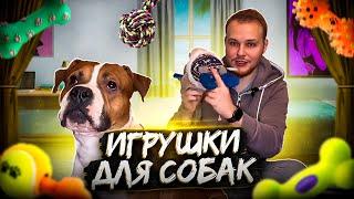 ИГРУШКИ ДЛЯ СОБАК| ВСЕ ПРО СОБАК| КАКУЮ ИГРУШКУ ВЫБРАТЬ СОБАКЕ