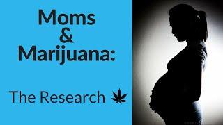 What the Scientists Say About Consuming Cannabis While Pregnant or Breastfeeding (Moms & MJ Part 3)