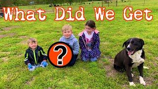 We Surprised Our Kids | Farm Addition