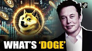 D.O.G.E. takes internet by storm as Trump appoints Musk, Ramaswamy to new department | US Election