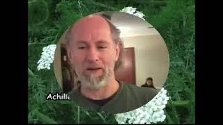 DIY Herbs: Yarrow