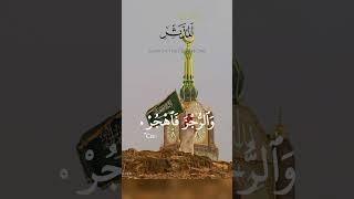 Surah Al Mudassir #muhammad #islampeacelove #quranrecitation #namaz #duet #revertz #quran #beautiful