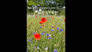 수레국화와 양귀비가 흐드러진 태화강국가정원 #shortvideo #shorts #blossom #blooming #flowers #travel #poppy #garden