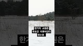 천수경 영인스님 1천만독 #buddha #불경 #염불 #healing #relax