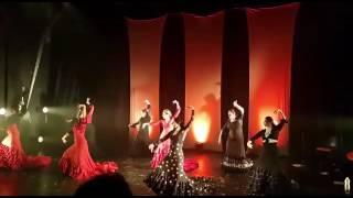 Flamenco Bata de Cola. Choreoraphy by Sharon Saguy