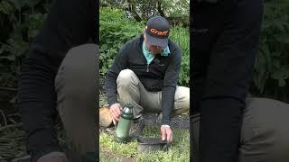 Утопленный опарыш за 10 секунд.