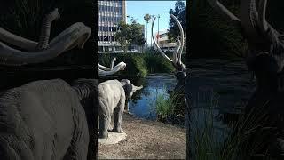 La Brae Tar Pits park, Los Angeles