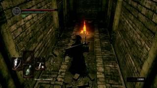 Dark Souls Remasterd - как выбраться из катакомб с костра Вамоса