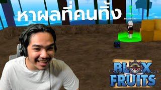 หาเก็บผลที่คนทิ้ง | BloxFruit