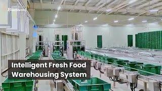 Improving the Efficiency of Food Logistics - Muyuan Cold Chain Warehousing System - BlueSword