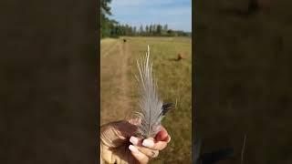 Kaк избежать болезней и выйти в сознание Творца 